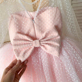 Camila Soft Dots Tulle Flower Girl Dress