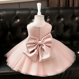 Emilia Beaded Neckline Flower Girl Dress