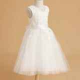 Grace V-neckline Lace Tulle Flower Girl Dress