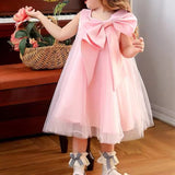 Alice A-Line Simple Flower Girl Dress