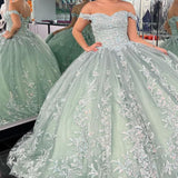 Dylan | Off-the-Shoulder Dusty Sage Appliques With Lace Up Quinceanera Dress