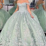 Dylan | Off-the-Shoulder Dusty Sage Appliques With Lace Up Quinceanera Dress