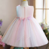 Rainbow Tulle Flower Girl Dress