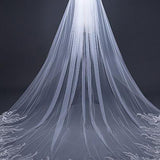 Vintage Long Tulle With Appliques Wedding Veil