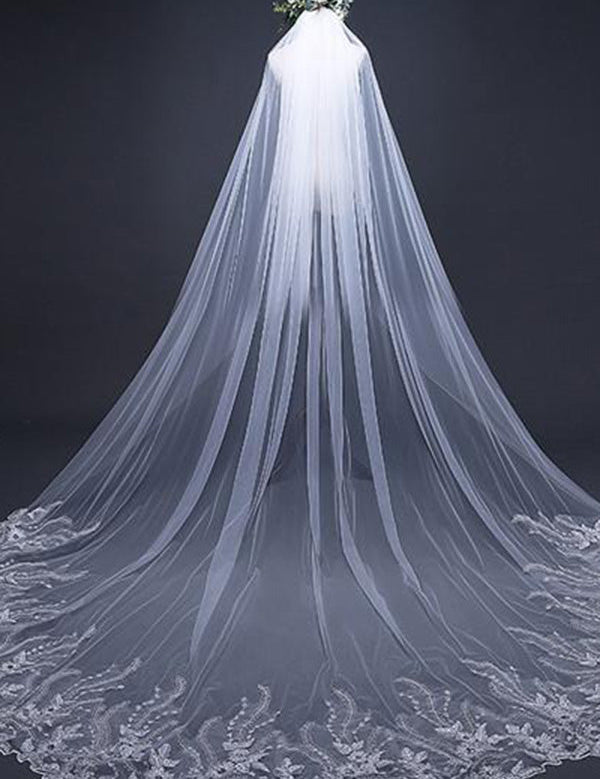 Vintage Long Tulle With Appliques Wedding Veil