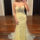 Tinsley |Mermaid Sweetheart Tulle Lace Prom Dress