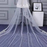 Charming Long Tulle Lace With Appliques Chapel Wedding Veil