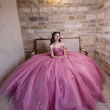 Dusty Rose Off Shoulder Lace 3D Flower Applique Ball Gown Quinceanera Dress