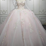 Renata | Blush Ball Gown Lace Strapless Sleeveless Quinceanera Dresses