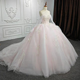 Renata | Blush Ball Gown Lace Strapless Sleeveless Quinceanera Dresses