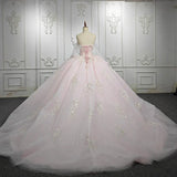 Renata | Blush Ball Gown Lace Strapless Sleeveless Quinceanera Dresses