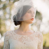 Vintage-Inspired Ivory Tulle and Mesh Birdcage Veils