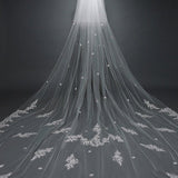 White Cathedral Veil with Blusher Lace Applique Long Wedding Veil