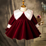 Iris Velvet Long Sleeves A-Line Girl Dress