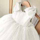 Elena Beaded Mesh Flower Girl Dress