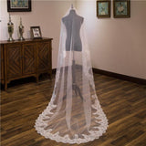 Vintage One-Tier Tulle Lace Edge Chapel Veils Appliques Wedding Veil