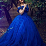 Quinceanera Dress Princess Tulle Royal Blue Wedding Dresses Flowers Off The Shoulder