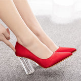 Simple Satin Slip on Pointed Toe Transparent Block Heels