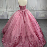 Quinceanera Dress Romantic Court Train Ball Gown Strapless Pleated