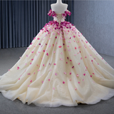 Romantic Heart  Off-the-Shoulder Tulle Quinceañera Dress