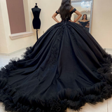 Ball Gown Organza Off the Shoulder Quinceanera Prom Dress