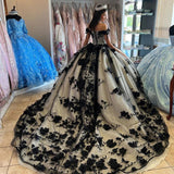 Black Off the Shoulder Quinceanera Dresses With 3D Flowers