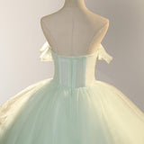 Elegant 3D Flowery Lace Sage Green Tulle Fairy Ball Gown