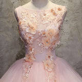 Pink Ball-Gown Organza Floor-Length Prom Dress with Appliqued