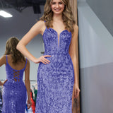 Erryn |Purple Sheath Sequins Long Prom Dress with Slit