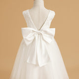 Grace V-neckline Lace Tulle Flower Girl Dress