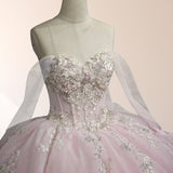 Light Pink Ball Gown Appliqued Quinceañera Dresses