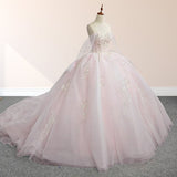 Light Pink Ball Gown Appliqued Quinceañera Dresses