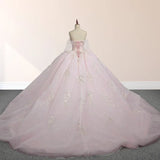 Light Pink Ball Gown Appliqued Quinceañera Dresses