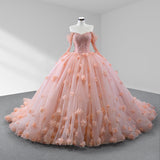 Blush Ball Gown Long Sleeves Sweetheart Quinceanera Dresses