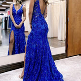 Avianna |Mermaid V Neck Sequined Lace Prom Dress with Slit