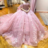 Fanny | Quinceanera Dress Off The Shoulder Lace Up Back Appliques Tulle