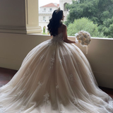 Lace Appliques Ball Gown V-Neck Quinceanera Dress